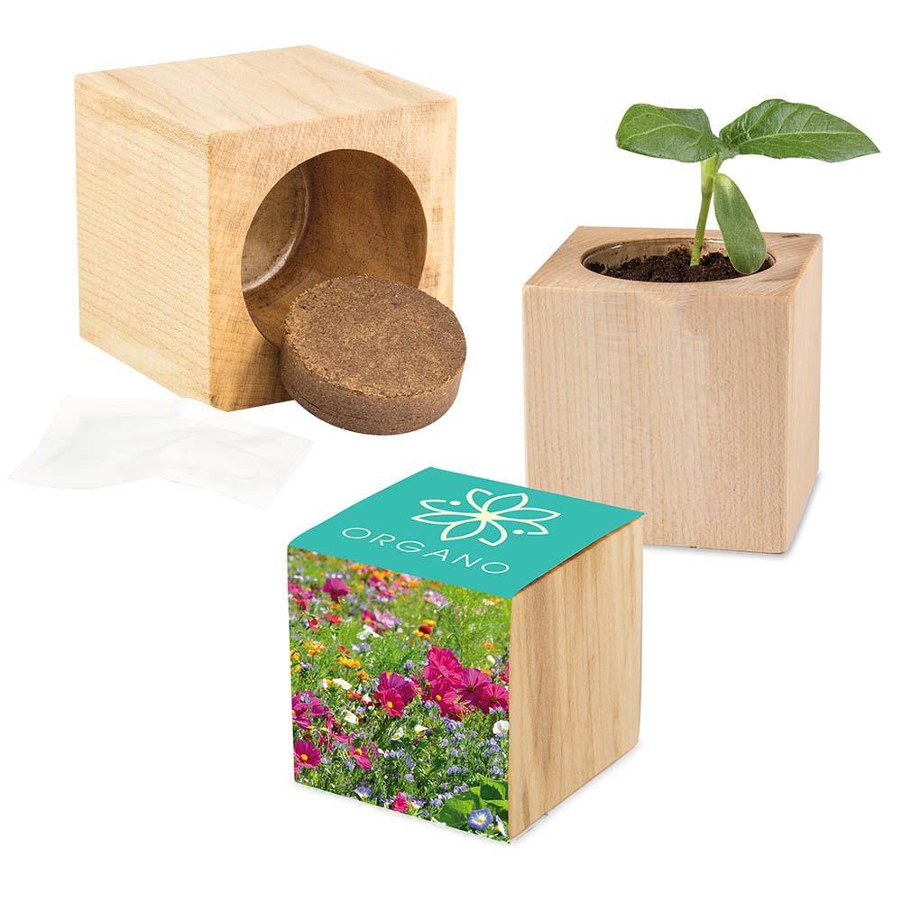 Pflanz-Holz Maxi - Sommerblume, 2 Seiten gelasert