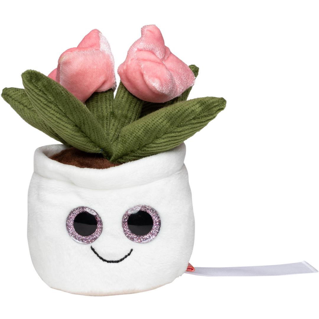 Schmoozies� Evergreenies� Tulpe